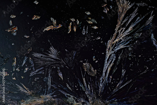 Dendritic magnesium sulfate crystals under cross-polarized light microscope, showing an abstract cosmic tree shape crystal growth pattern on a dark background