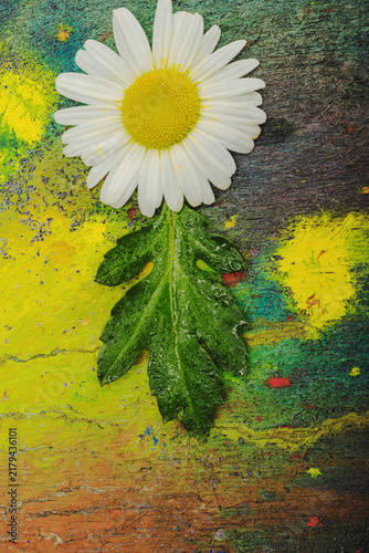 White daisy flower with green leaf on colorful rustic wooden background. Flat lay