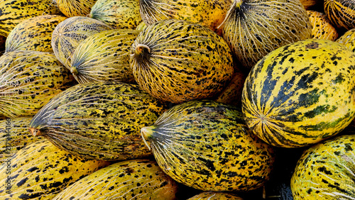 Freshly harvested Kıirkagac melons, a famous Turkish variety with elongated oval shapes, yellow-green skin, dark mottled markings, and characteristic late-summer ripeness