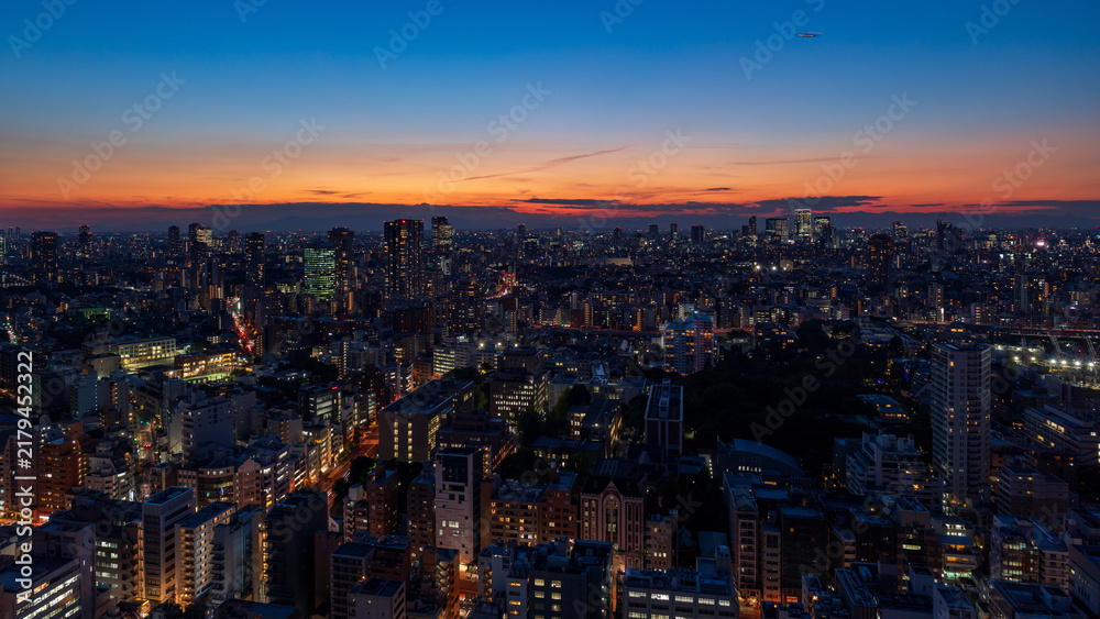 Obraz premium Tokyo cityscape in Minato ward glowing against twilight sky