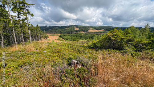 Vast Rugged Open Space with Lush Greenery