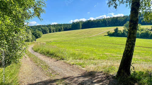 Lush Green Landscape with Clear Blue Sky and Trees
