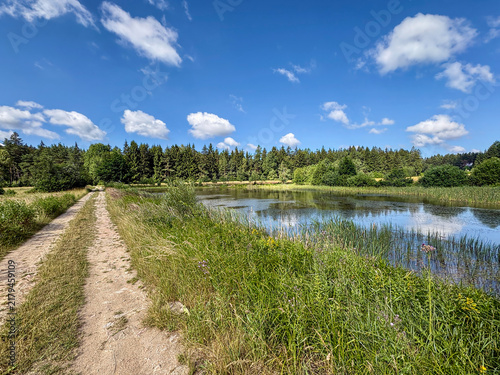 Lush Greenery by a Calm Reflective Lake