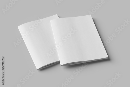 two blank vertical letter size handbooks in studio shot with soft shadow front cover mockup isolated 3d render perspective view