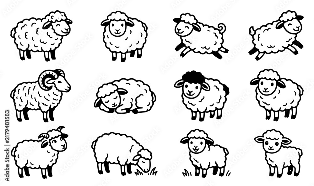 Fototapeta premium Vector sheep illustrations arran… 202609011357 set with simple line art design featuring line art, illustrations, graphic resources with vector and design elements