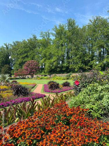 A beautiful summer garden full of flowers