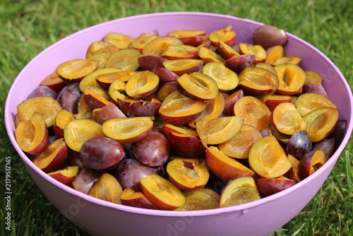 Bowl of sliced plums on grass during a sunny day in a backyard