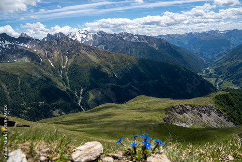 Bergwiese am Fuße des Figerhorn mit Blick auf die beeindruckende Bergkulisse der Schobergruppe 2
