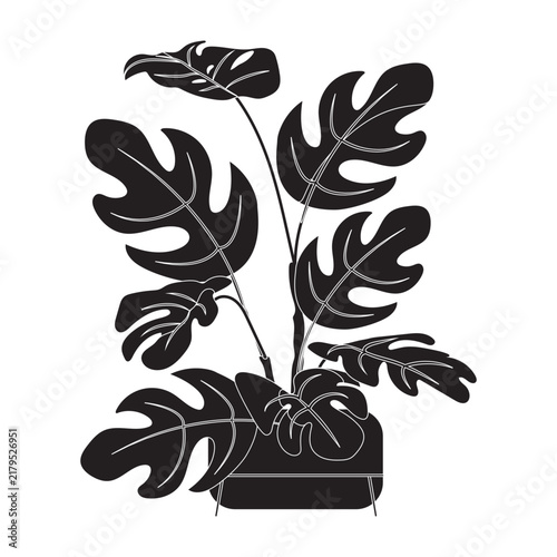 Flat illustration of a tropical Monstera deliciosa plant in a red pot
