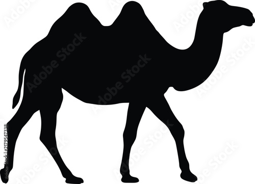 Foto Two hump camel silhouette vector. Bactrian camel vector icon