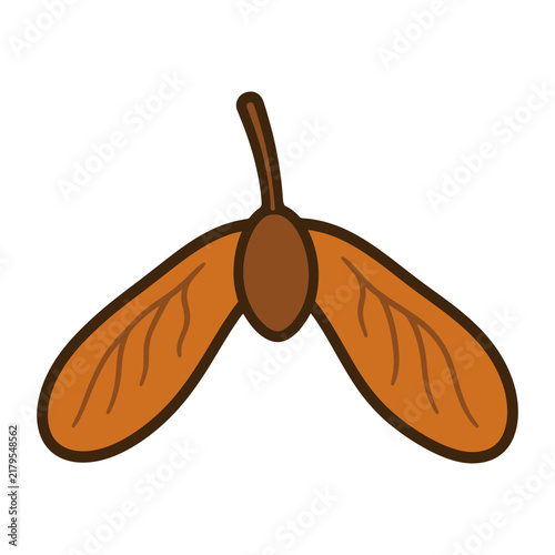 Maple seed samara icon isolated on white background flat design