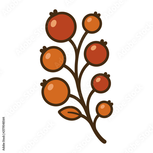 Red berry branch illustration with flat orange fruits and leaves