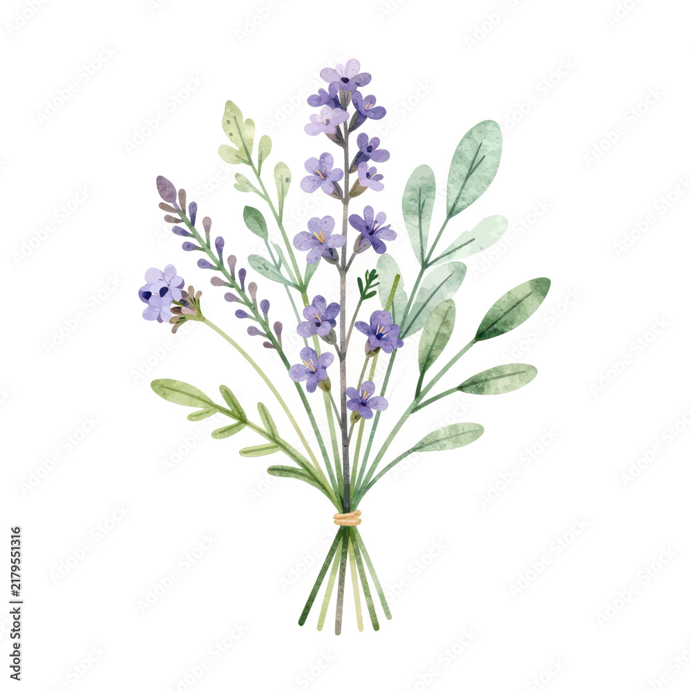 Fototapeta premium Beautiful Watercolor Lavender Bouquet Illustration with Purple Flowers and Green Leaves Isolated on White Background for Floral Wedding Invitations and Botanical Nature Design Concept