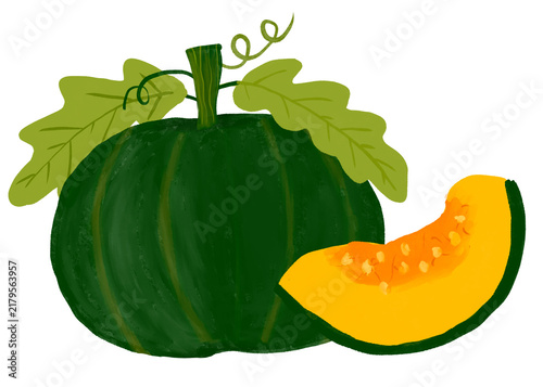 Hand Drawn Whole Pumpkin and Sliced Pieces for Autumn Harvest