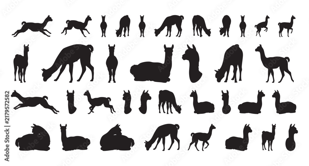 Obraz premium isolated alpaca silhouettes in playful motion, varied poses showing grazing, standing, jumping and resting across compact grid, strong black shapes for modern decor and craft projects