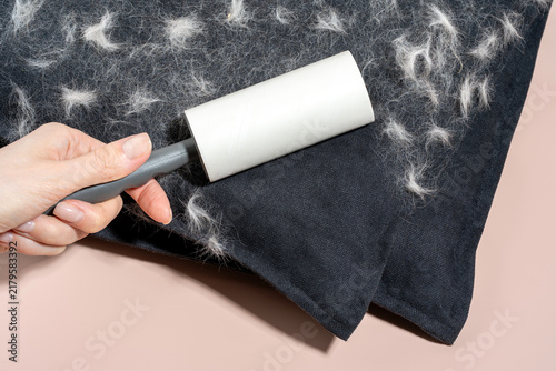 Fotografía Hands use adhesive lint roller on black pillow for pet hair removal, pastel pink background