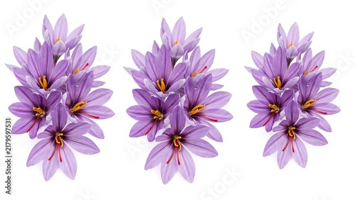Three bouquets of purple flowers isolated on a pure white background with flower bouquet