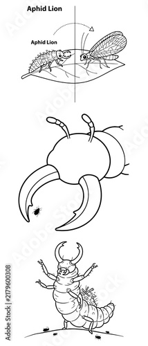 Stag Beetle Caterpillar Coloring Page Detailed Fantasy Bug Insect Illustration for Kids and Adults to Color