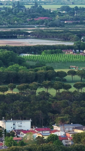 Italian countryside landscape with pine trees and village
