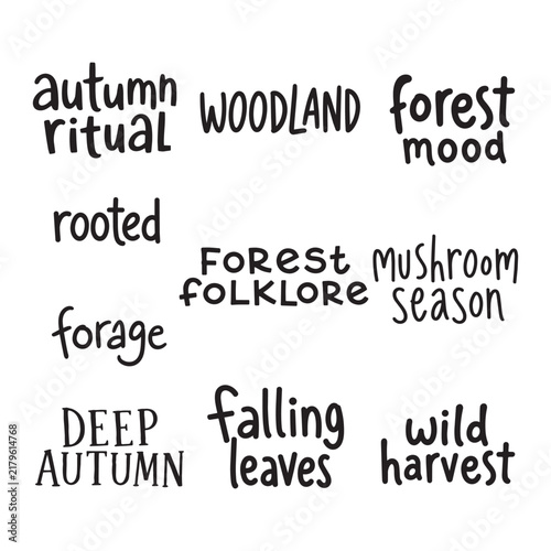 A playful collection of hand-drawn autumn quotes inspired by woodland, falling leaves, foraging and mushroom season. Perfect for cozy seasonal branding, apparel, posters, cards and stationery.