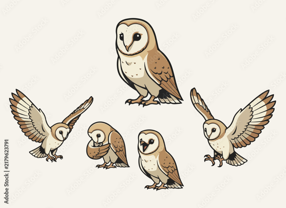 Obraz premium Illustrated barn owl family in various poses