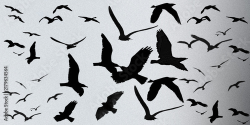 Black bird silhouettes flying in flock, soaring seagull and crow shapes on gray background, wildlife migration illustration