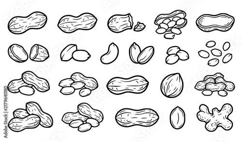 Peanut Shell and Unshelled Kernel Hand Drawn Doodle Black Vector Set