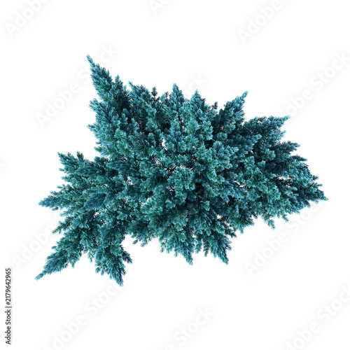 bush isolate on a transparent background, 3D illustration, cg render