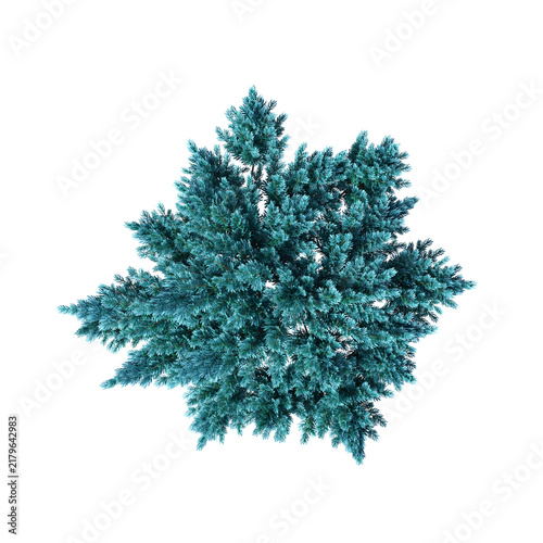 bush isolate on a transparent background, 3D illustration, cg render