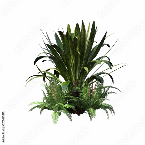 bush isolated on white background, 3D illustration, cg render