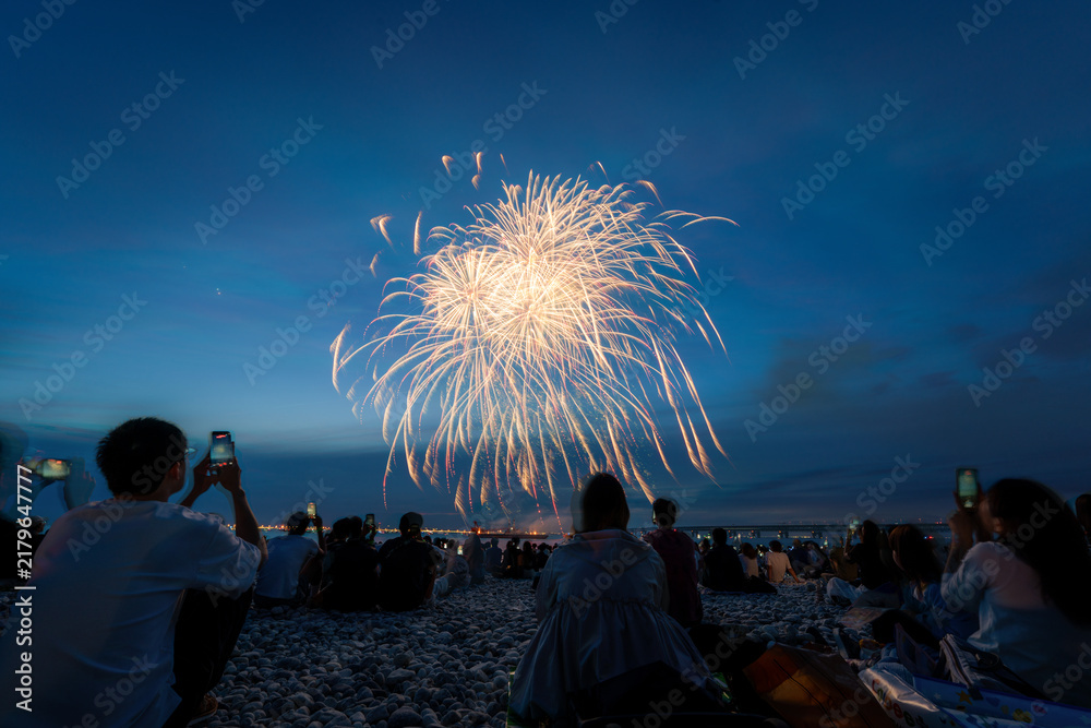 Obraz premium Golden willow fireworks above spectators on Osaka beach