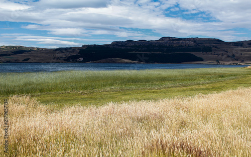 Coyhaique Patagonia Chile Scenic Patagonian Lake Landscape with Golden Grass and Reed Shoreline