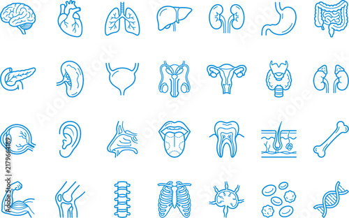 Canvas Print Collection of medical organ icons in a linear style on a white background