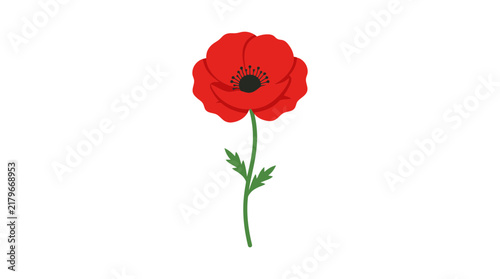 Red Poppy Flower Vector Illustration