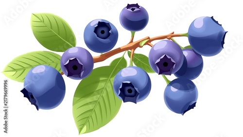 Ripe Blueberries with Green Leaves Branch