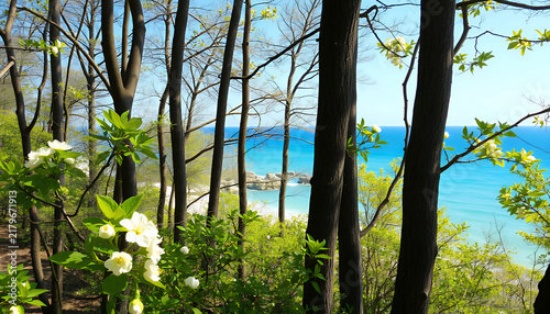 View of turquoise ocean through forest trees with white spring flowers in sunny day
