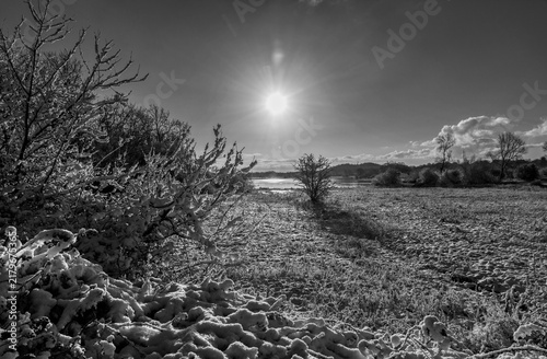 Foto Winter Wonderland In Tamworth b&w
