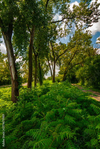 528-19 Ironworks Trail