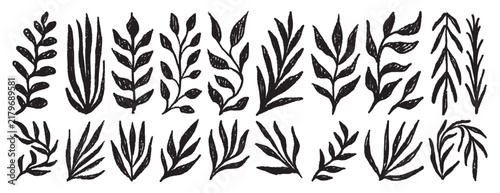 Принти на полотні Plant silhouette leaves textured set