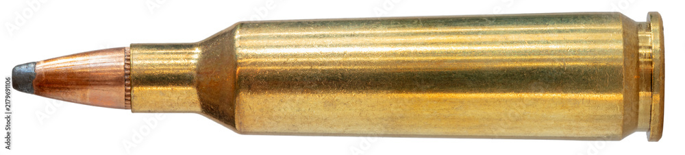 Obraz premium 22 250 cartridge with a soft point bullet