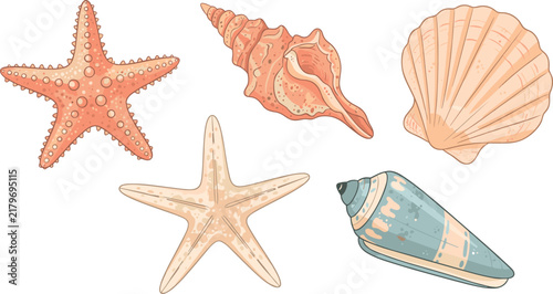 Pastel Hand Drawn Starfish Seashell and Nautilus Marine Life Illustration Collection
