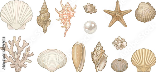 Pastel Hand Drawn Seashell Starfish Coral and Marine Life Illustration Collection