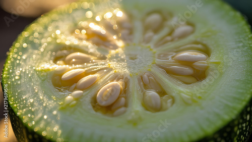 Sliced green zucchini section showing seeds and texture with zucchini vegetable sunlight