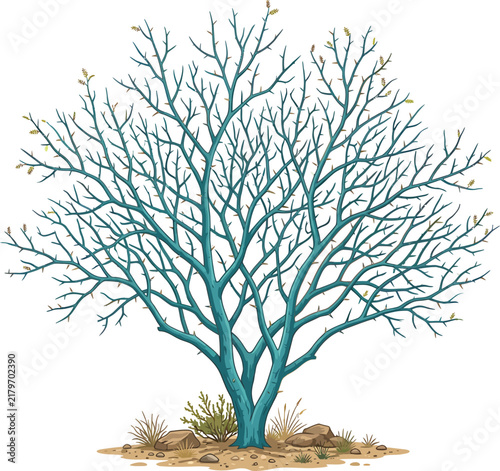 Bare winter tree with intricate branch network vector graphic illustration