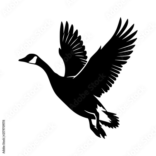 Flying goose silhouette animal vector illustration, Goose flying silhouette illustration