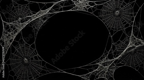 White spider web silhouettes against black background with empty space with overlap against stark