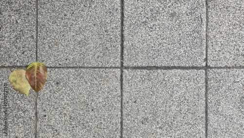 Fotografie Fallen leaves on grey concrete pavement stone