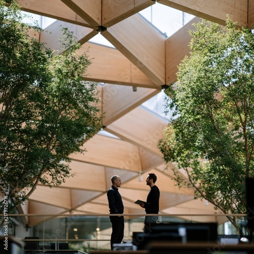 Contemporary workplace atrium with timber lattice roof and green indoor planting for business discussion background and corporate interior design