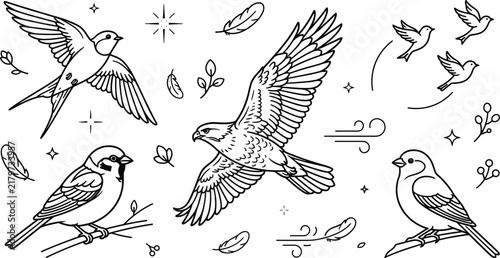 Photography Vintage Bird and Flying Hawk Line Art Elements Collection for Mystical Graphic D