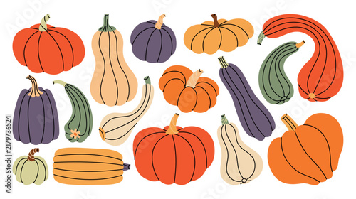 Hand drawn autumn harvest set of colorful pumpkins, gourds, squash. Decorative fall vegetables with leaves and stems. Cute botanical flat illustrations for Halloween, Thanksgiving, autumn decorations.